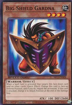 Big Shield Gardna 