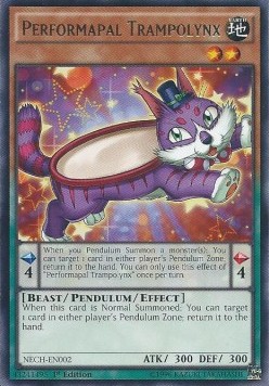 Performapal Trampolynx 