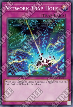 Network Trap Hole 
