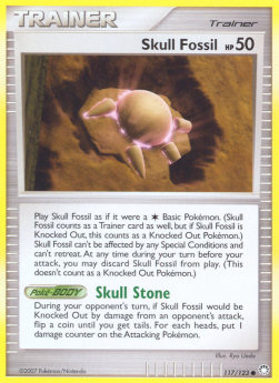 Skull Fossil 