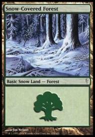 Snow-Covered Forest 