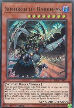 Simorgh of Darkness 