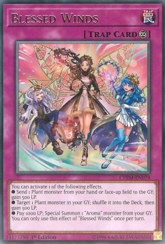 Blessed Winds 