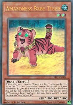 Amazoness Baby Tiger 