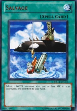 Salvage (V.4 - Rare) 