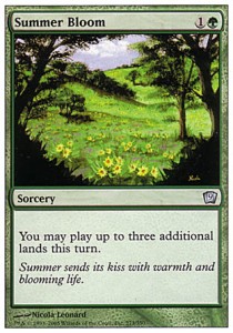 Summer Bloom 