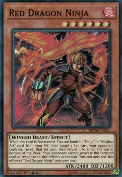 Red Dragon Ninja 