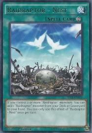 Raidraptor - Nest