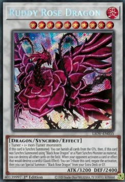 Ruddy Rose Dragon 