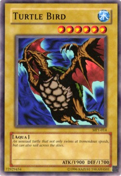 Turtle Bird 