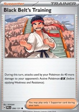 Black Belts Practice 