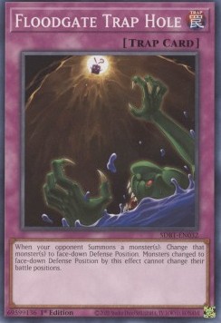 Floodgate Trap Hole 
