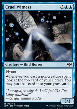 Cruel Witness 