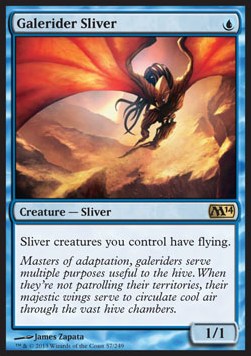 Galerider Sliver - Magic 2014 