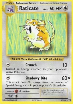 Raticate 