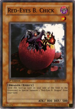 Black Dragon's Chick 