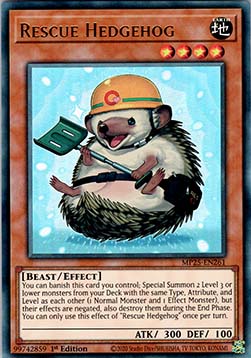 Rescue Hedgehog 