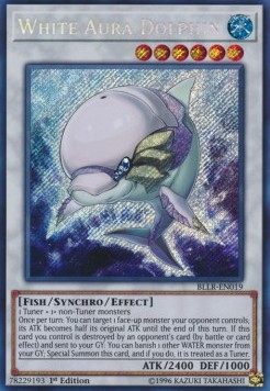 White Aura Dolphin 