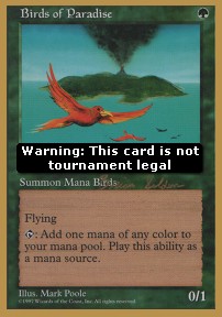 Birds of Paradise 