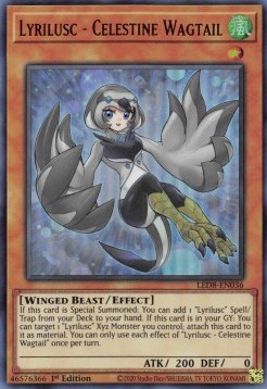 Lyrilusc - Celestine Wagtail 
