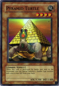 Pyramid Turtle 