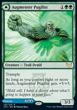 Augmenter Pugilist // Echoing Equation 