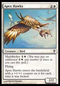 Apex Hawks 