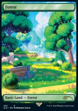 Forest 