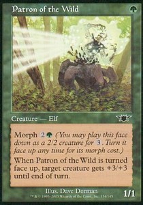 Patron of the Wild 