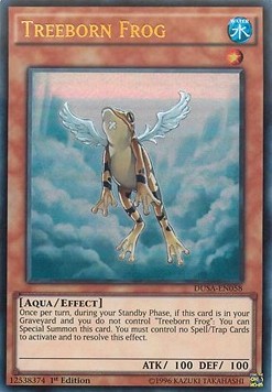 Treeborn Frog 