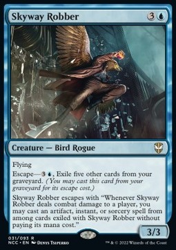 Skyway Robber 