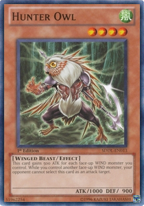 Hunter Owl 