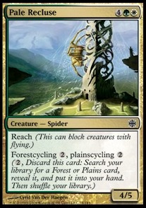 Pale Recluse 