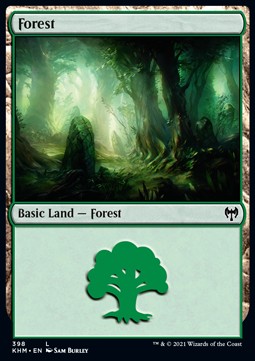 Forest 
