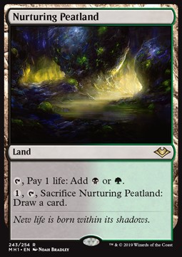 Nurturing Peatland - Modern Horizons 
