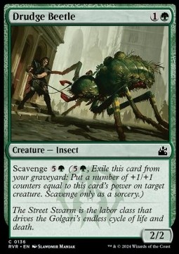 Drudge Beetle 