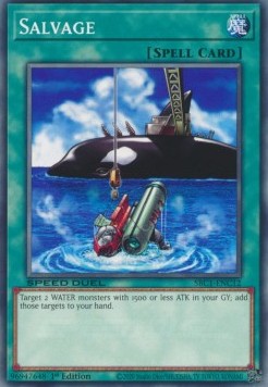 Salvage 