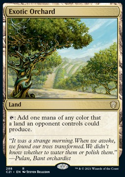 Exotic Orchard 