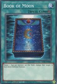 Book of Moon 