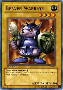 Beaver Warrior 