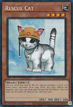 Rescue Cat (V.11 Collectors Rare) 