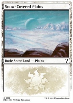 Snow Covered Plains 