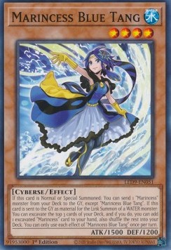 Marincess Blue Tang 