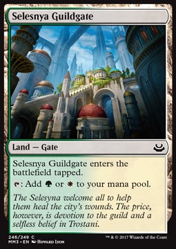 Selesnya Guildgate 