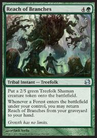Reach of Branches 