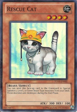 Rescue Cat 