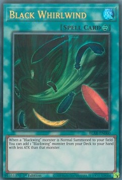Black Whirlwind 