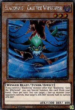 Blackwing Gale the Whirlwind (V.1 Platinum Secret Rare) 