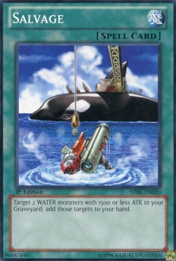 Salvage 