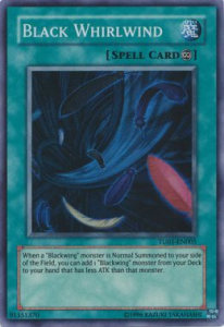 Black Whirlwind 